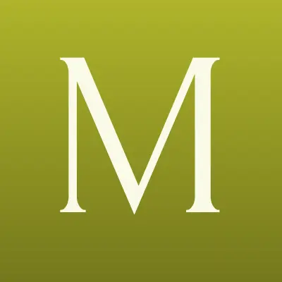 Магазин одежды и игрушек, лого-визитка
