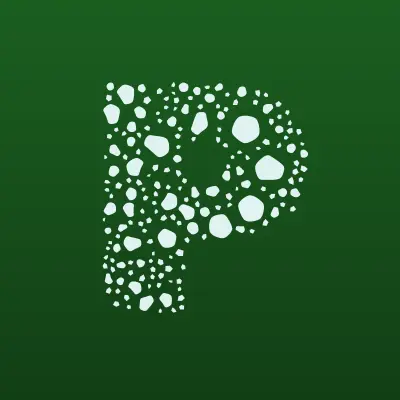 Pikaero, компания, лого-визитка